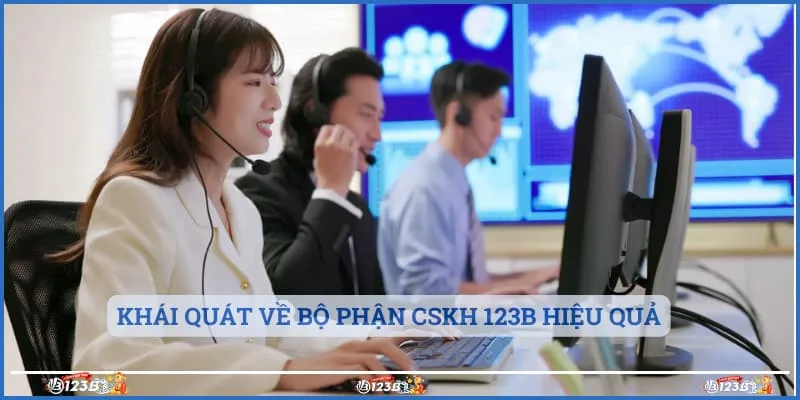 Khái quát về bộ phận CSKH 123B hiệu quả