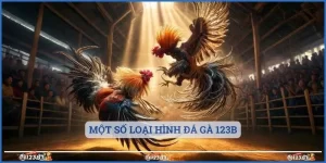 Một số loại hình đá gà 123b