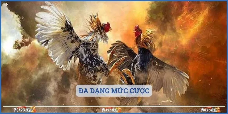 Đa dạng mức cược