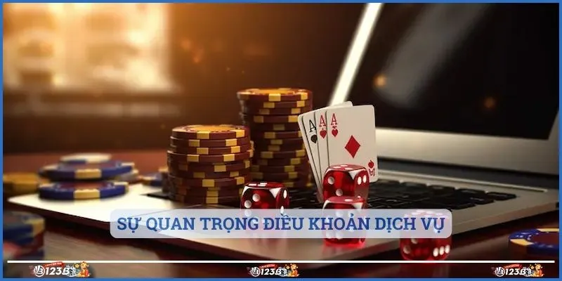 Sự quan trọng điều khoản dịch vụ