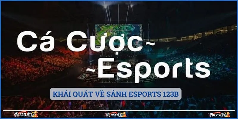 Khái quát về sảnh Esports 123B