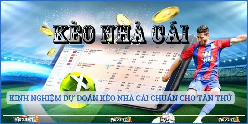 Kinh nghiệm dự đoán kèo nhà cái chuẩn cho tân thủ